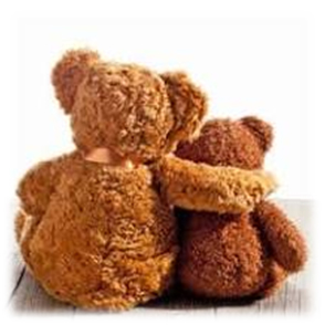 Teddy Bears